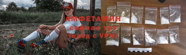 молекула духа Алексин