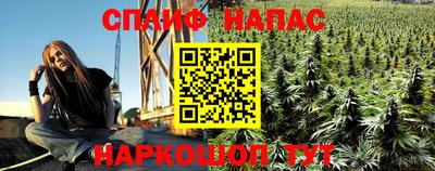 прущие грибы Моздок