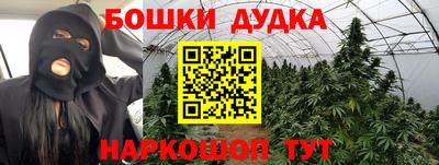 прущие грибы Моздок