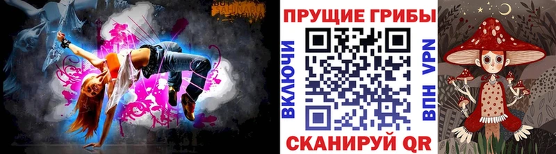 где найти   Вологда  Галлюциногенные грибы мицелий 
