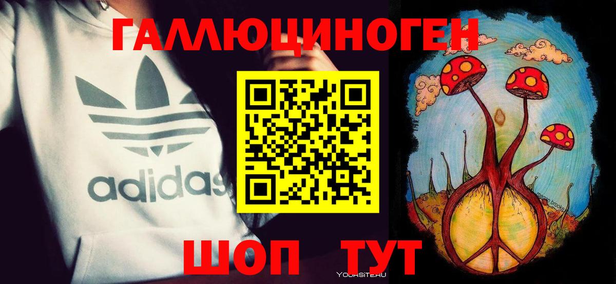 Псилоцибиновые грибы Cubensis  где продают   Вологда  Вход с VPN 