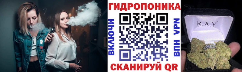 omg как войти  Вологда  Шишки марихуана THC 21% 
